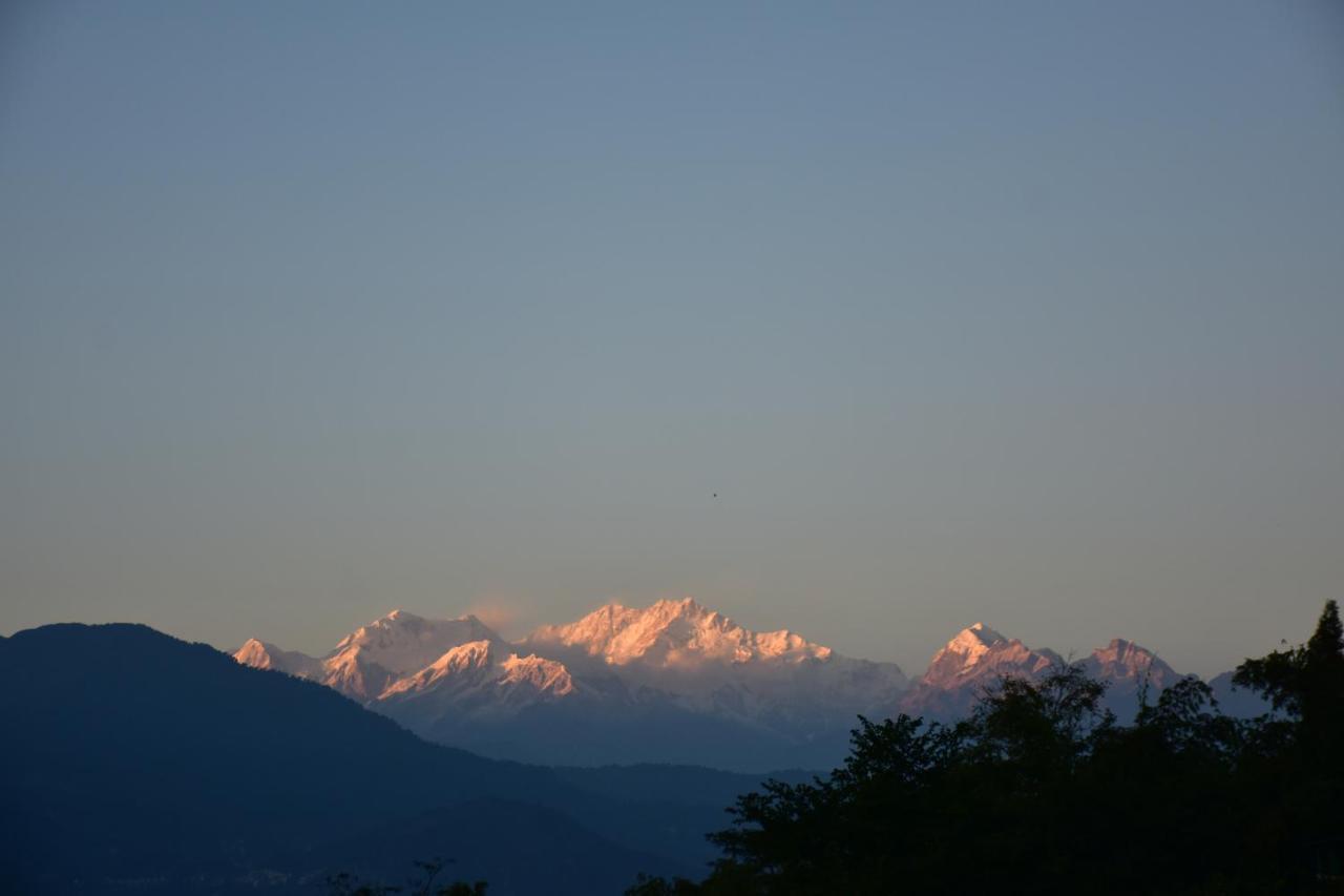 Singtom Tea Estate & Resort Darjeeling  Dış mekan fotoğraf