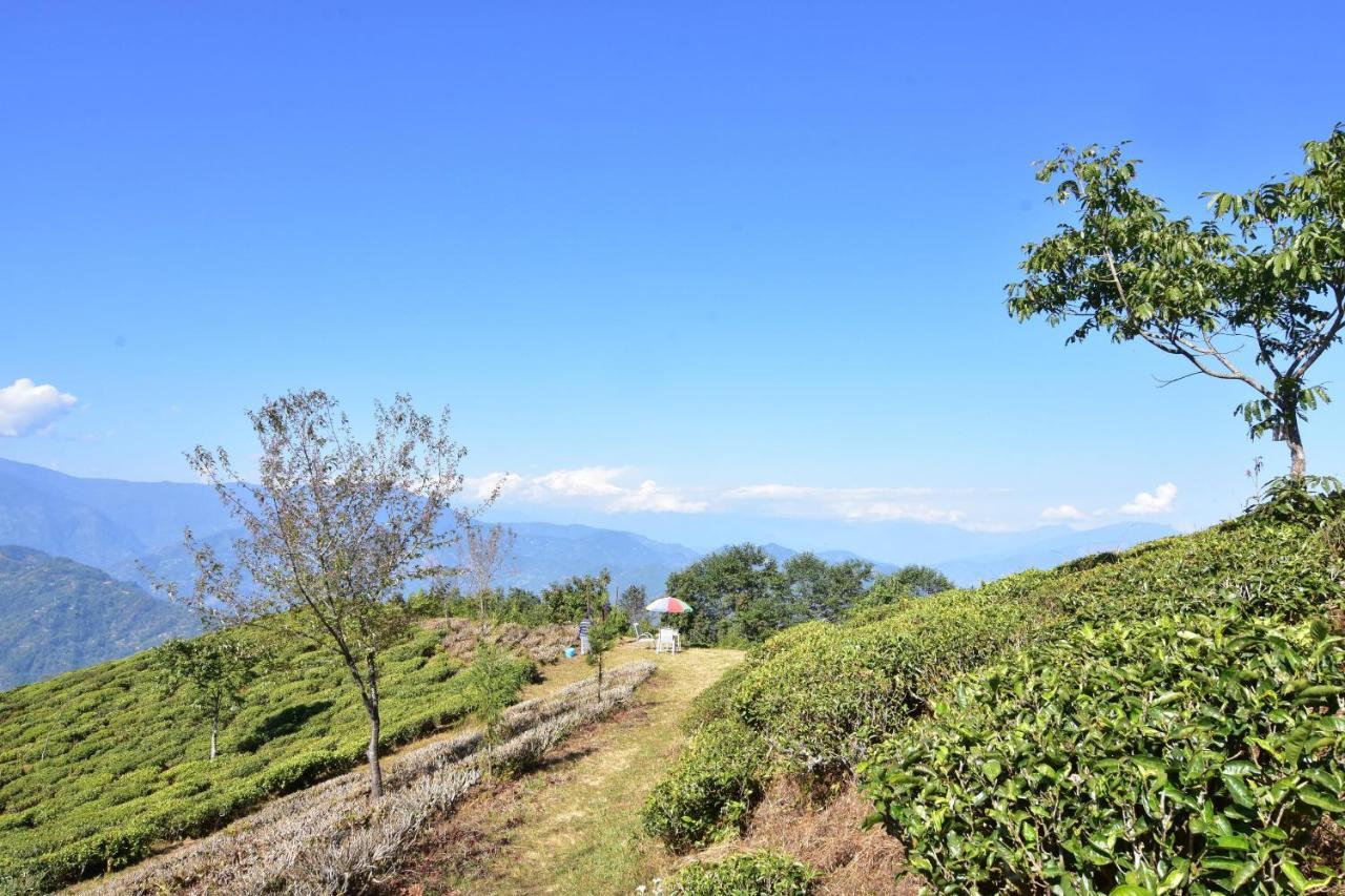 Singtom Tea Estate & Resort Darjeeling  Dış mekan fotoğraf