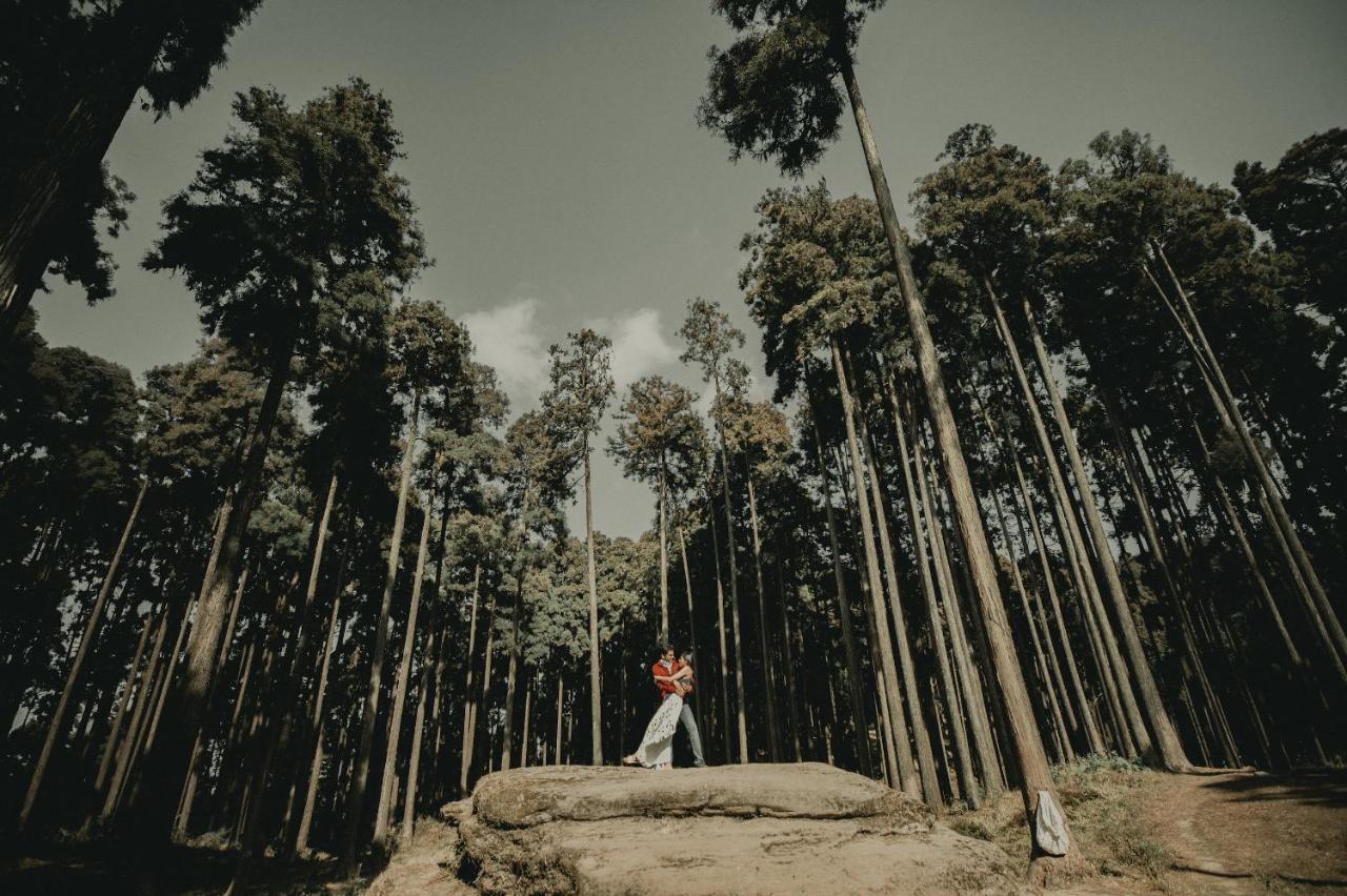 Singtom Tea Estate & Resort Darjeeling  Dış mekan fotoğraf