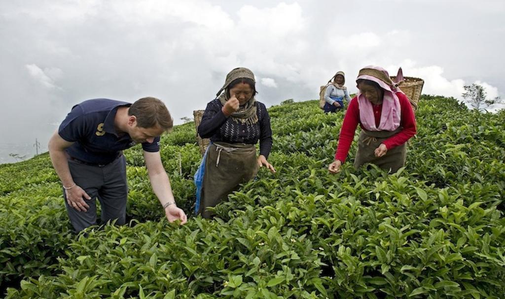 Singtom Tea Estate & Resort Darjeeling  Dış mekan fotoğraf